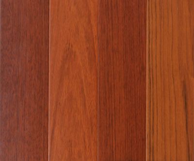 Capri Plank Acacia Natural - Forest Accents