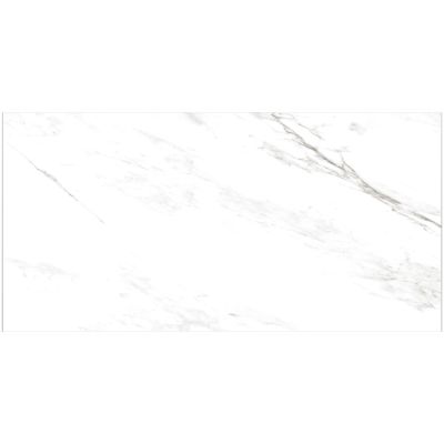 Classics Style Access  Italian Carrara 12×24 Honed Matte CTCLCAR12241U
