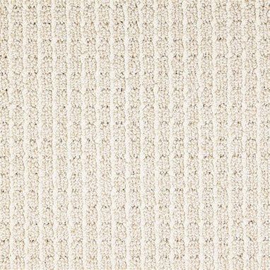 Masland Carpets & Rugs Conqueror Adore D010-13111