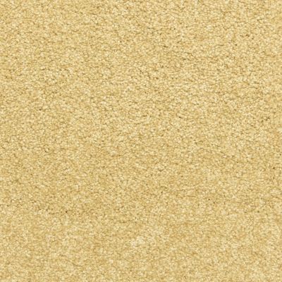 Simplicity Lasting Luxury Camelite LL_D022K-25190