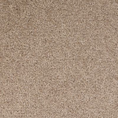 High Stepping Lasting Luxury Champion LL_D030K-33120
