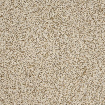 Retro Lasting Luxury Premier LL_D031K-23114
