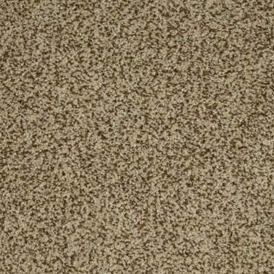 Retro Lasting Luxury Champion LL_D031K-33120