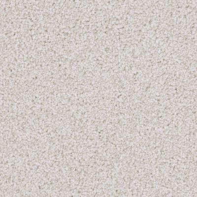 Kennel Club Lasting Luxury Bichon Frise LL_D059K-71249
