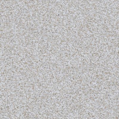Kennel Club Lasting Luxury Samoyed LL_D059K-94746