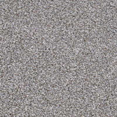 Kennel Club Lasting Luxury Schnauzer LL_D059K-98840