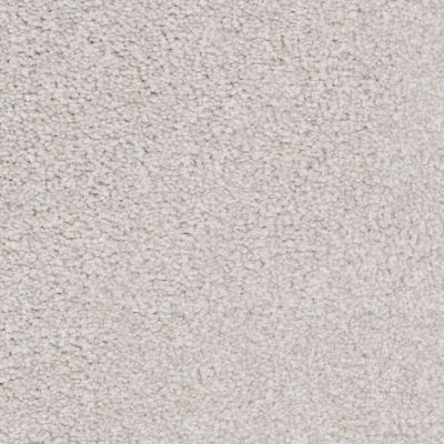 Big Shot Lasting Luxury Bichon Frise LL_D060K-71249