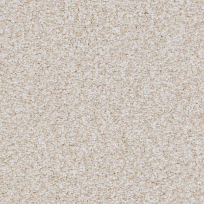 Big Shot Lasting Luxury Bulldog LL_D060K-73747
