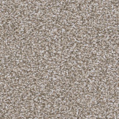 Big Shot Lasting Luxury Pinscher LL_D060K-87843