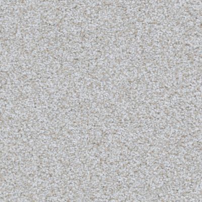 Big Shot Lasting Luxury Samoyed LL_D060K-94746