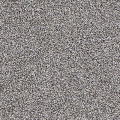 Big Shot Lasting Luxury Schnauzer LL_D060K-98840