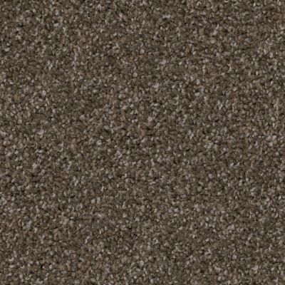 Trapper Lasting Luxury DACHSHUND LL_D068K-88841