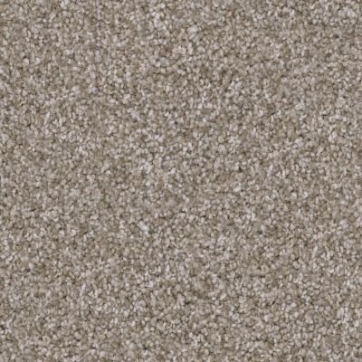 Trapper Lasting Luxury YORKIE LL_D068K-95762