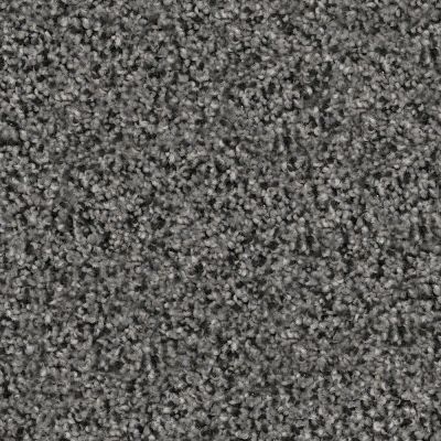 Trapper Lasting Luxury  BORDER COLLIE LL_D068K-99953