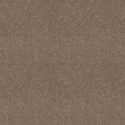 Dyersburg In Stock  Classic 12′ Taupe Mist DLPHNIS-E0947-792