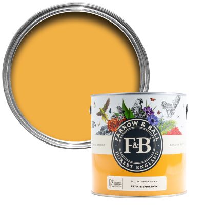 Farrow And Ball Colour By Nature Dutch Orange 5029496001068