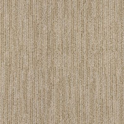 Highlighters Shaw Floors Pure Waters Pebble Path Ale 00200_E9348