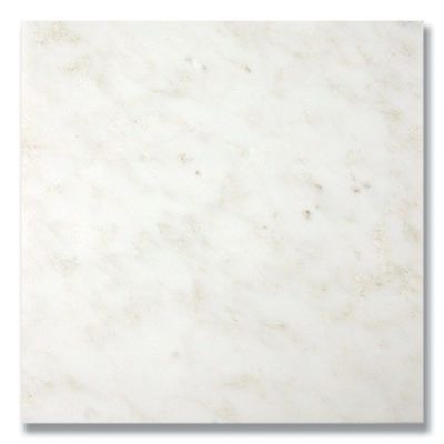 Stone Tile Akdo  12” x 12” Carrara Bella (H) White, Gray MB1604-1212H0