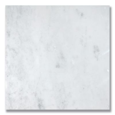 Stone Tile Akdo  12” x 12” Carrara (P) White, Gray MB1130-1212P0