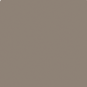 Surface Art Force Contemporary Taupe TSCFORTA213PIC