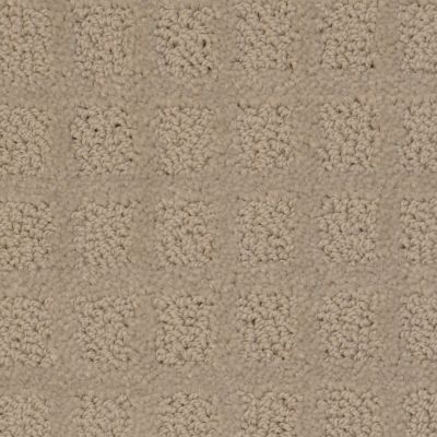 Hollygrove Lasting Luxury  SHALE LL_5915-80125