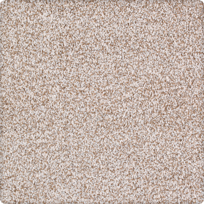 Karastan Enduring Harmony TEXTURE Canyon GF63578-6809