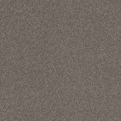 Shaw Floors Good Call Baltic Stone GF289111