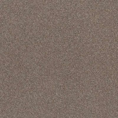 Shaw Floors Good Call Sandstone GF289113