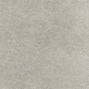 Surface Art Harmony Modern Concrete Ash Concrete TSAVVHAASHC2448