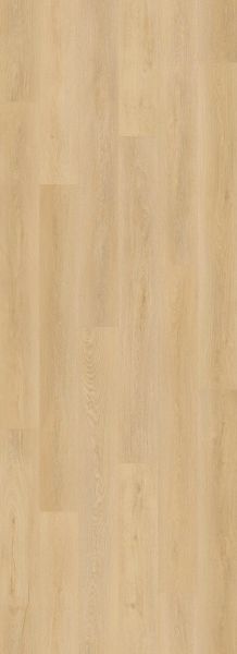 Lions Floor Bevelmark Shadow Reveal LI-BM02