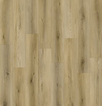 Lions Floor Canyon Coast Mountain Mist LI-CC04