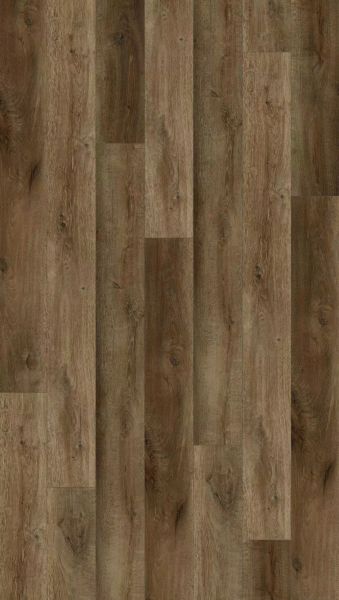 Lions Floor District Max Brookline LI-DM10