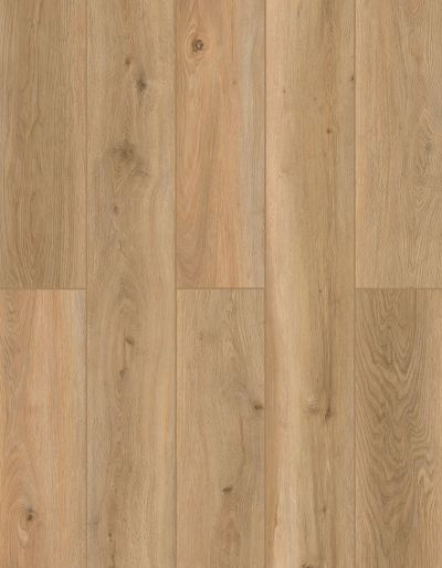 Lions Floor Indoor Delight Shoreline Décor LI-ID12