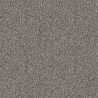 Shaw Floors Mandalay Bay (t) Stainless E9955542