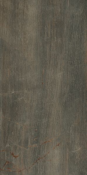 Paramount Tile Fossil BRUNO MD1066586