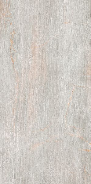 Paramount Tile Fossil PERLA MD1066588