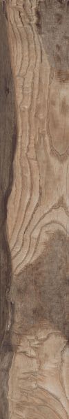 Paramount Tile Backwoods LEATHER SADDLE MDMTG0636160