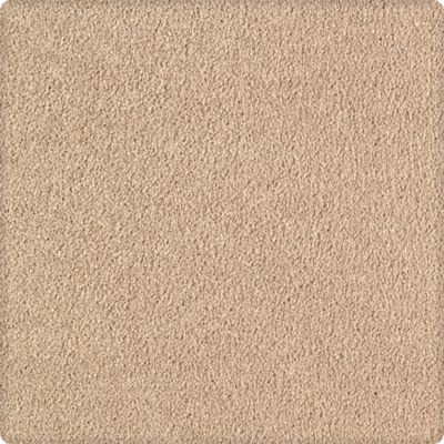 Soothing Obsession Lasting Luxury  Canvas LL_2K75-9725