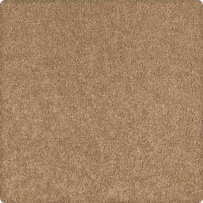 Soothing Obsession Lasting Luxury  Earthtone LL_2K75-9875
