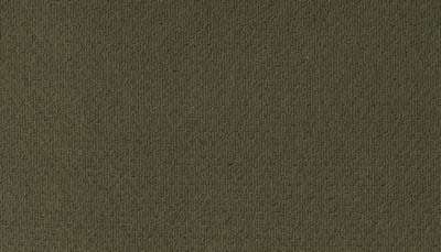 Modern Happenings Lasting Luxury  Pine Needle LL_2N42-540