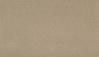 Modern Happenings Lasting Luxury  Shoreline LL_2N42-506