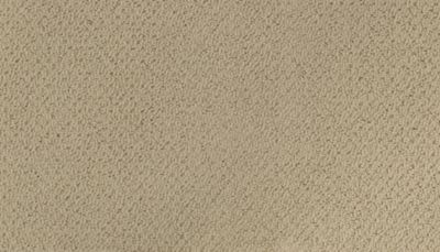 Modern Happenings Lasting Luxury  Antique Ivory LL_2N42-502