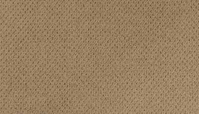 Modern Happenings Lasting Luxury  Maple Tint LL_2N42-503