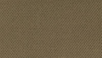 Modern Happenings Lasting Luxury  Hearth Beige LL_2N42-518