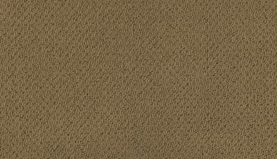 Modern Happenings Lasting Luxury  Glazed Ginger LL_2N42-504
