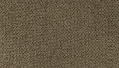 Modern Happenings Lasting Luxury  Pine Cone LL_2N42-520
