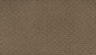 Pure Perception Lasting Luxury  Ancestral Haze LL_2L68-799
