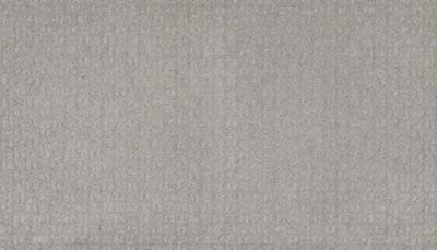 Pure Perception Lasting Luxury  Grey Ice LL_2L68-915