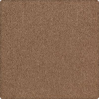 Lavish Affair Lasting Luxury  Nutmeg LL_2M05-9851