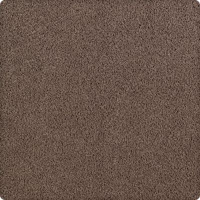 Lavish Affair Lasting Luxury  Brindle LL_2M05-9875